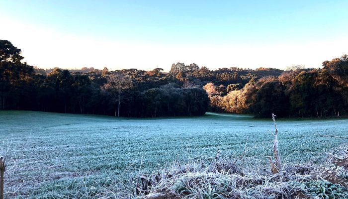  Extremos nas temperaturas e tornados: 2025 registrou dados meteorológicos históricos no Paraná